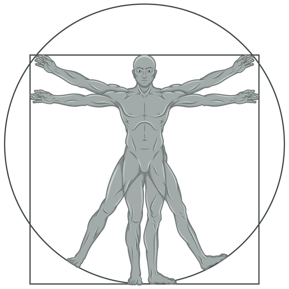 Vitruvian man Vector design