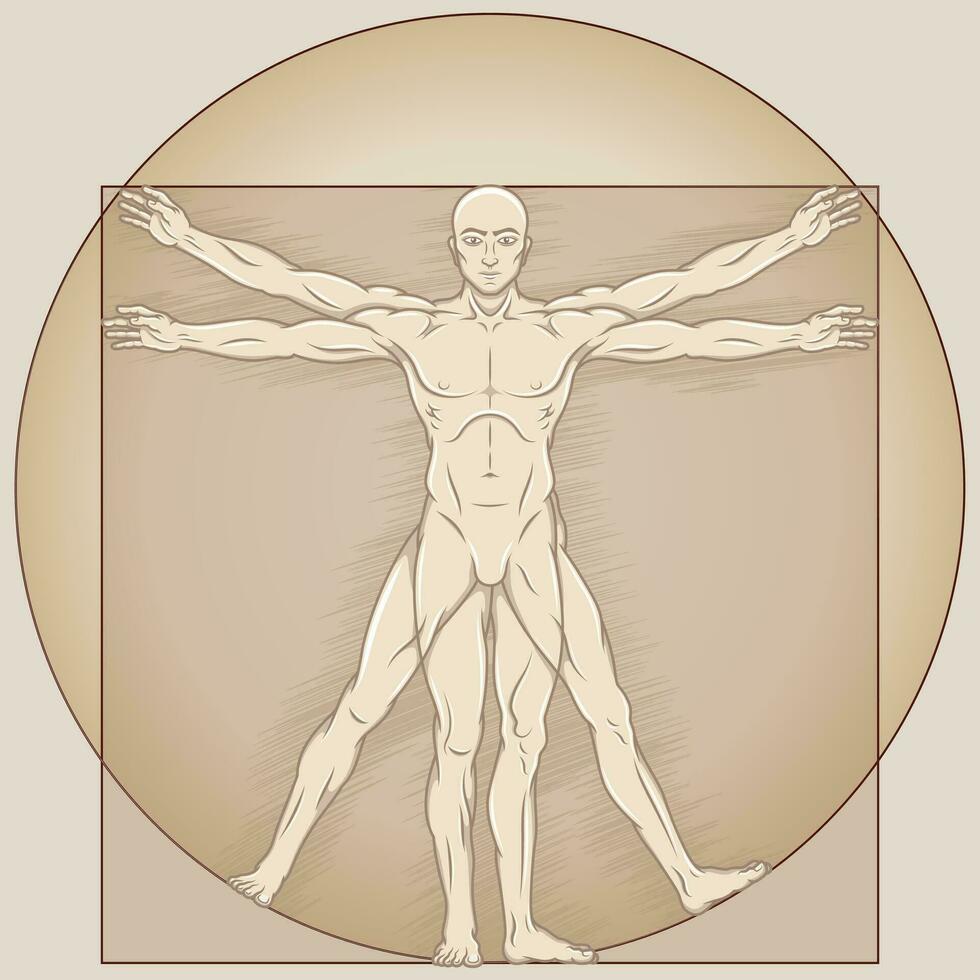 Vitruvian man Vector design