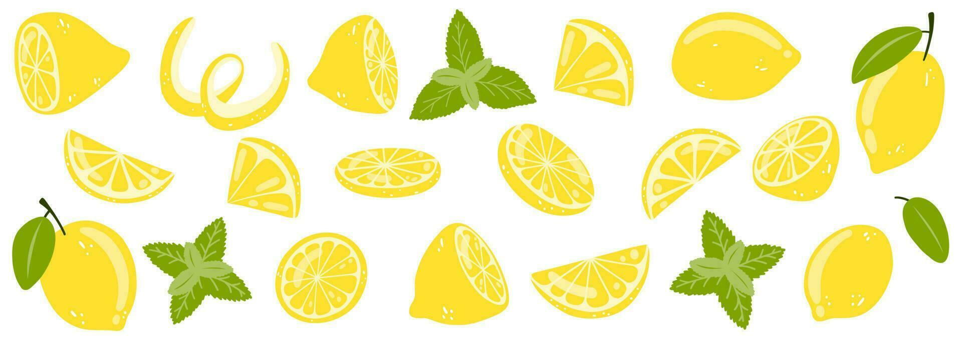 Set of hand drawn whole, half, sliced lemon. vector illustration of fresh tasty citrus fruits and mint for icon, logo, web design, packaging, card, print.