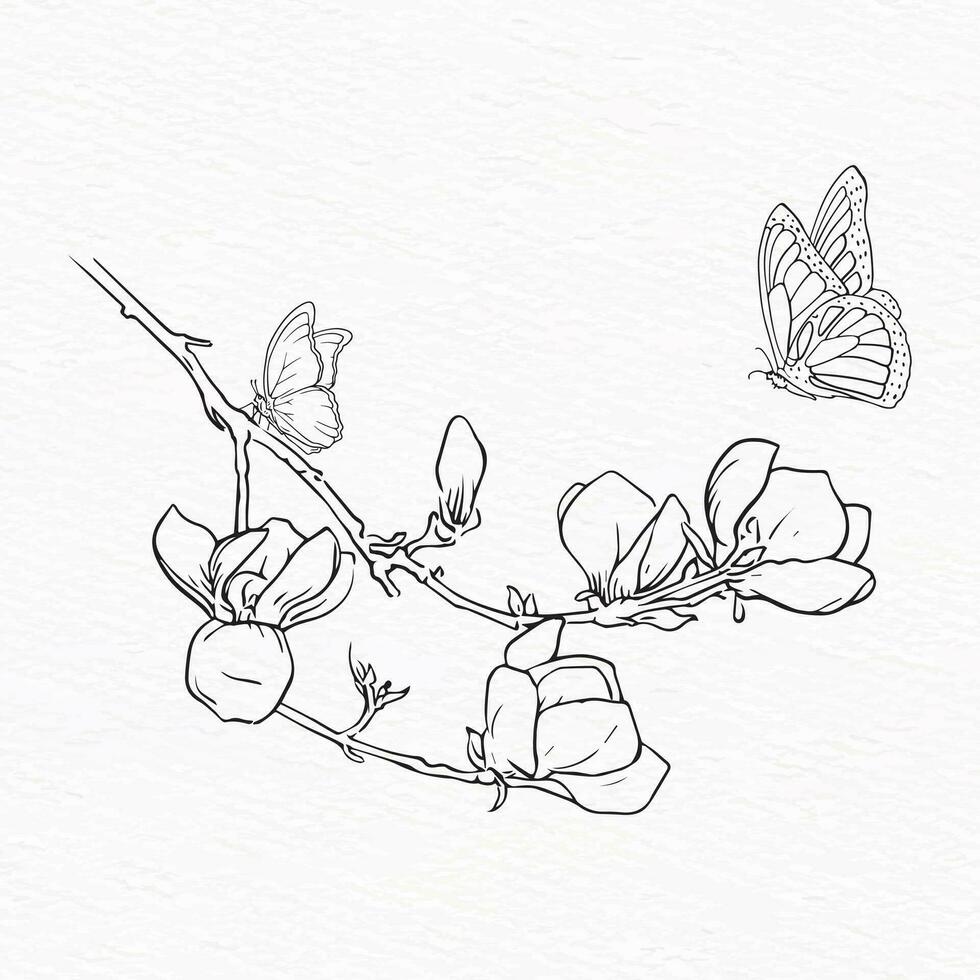 Magnolia flower and butterfly line drawing vector