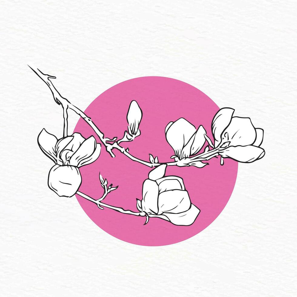 Magnolia flower line drawing with abstract background vector