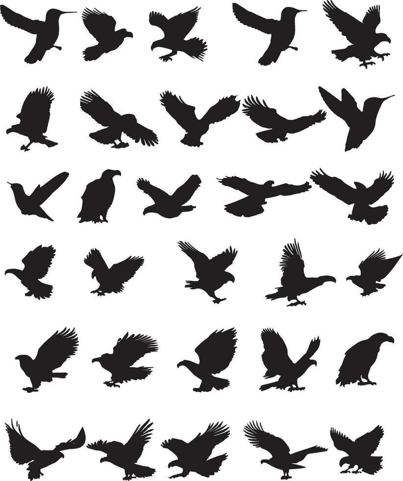 Eagle Silhouette on white background vector