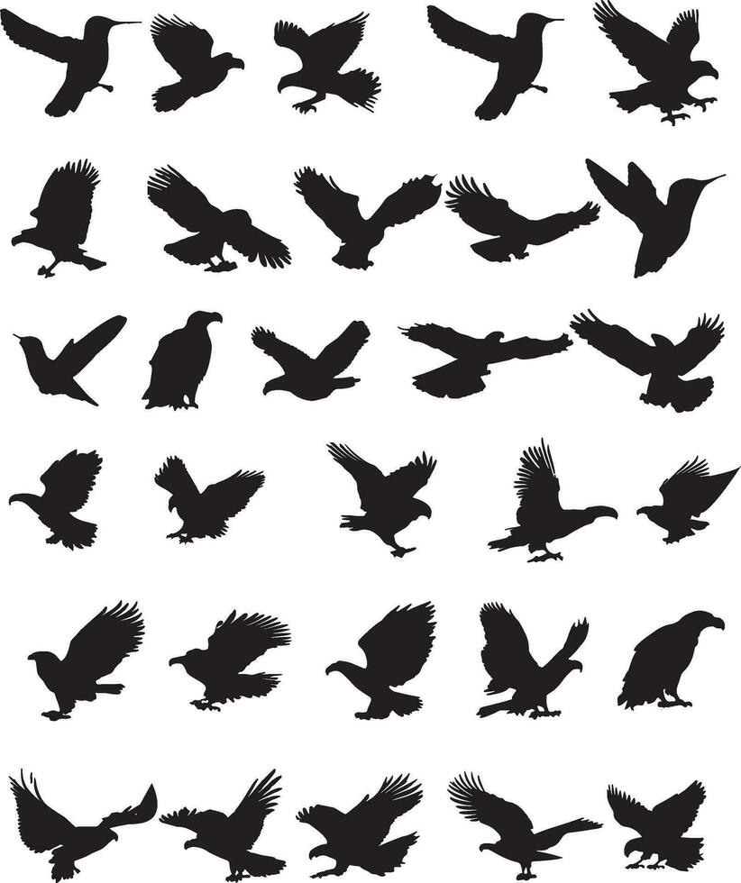 águila silueta en blanco antecedentes vector