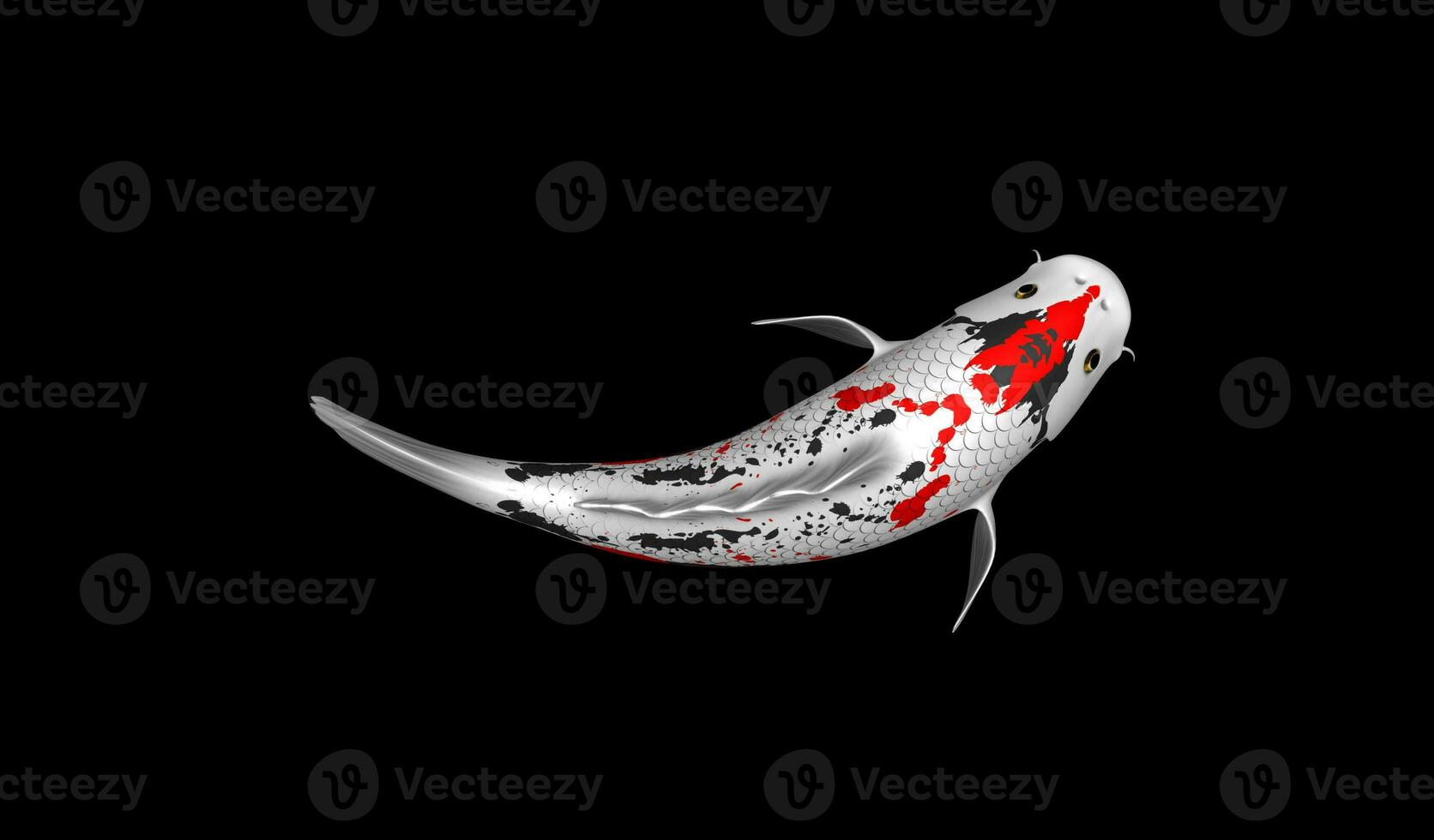 Single Black, Red and White Color Koi Fish 3D Rendering Japanese Carp photo