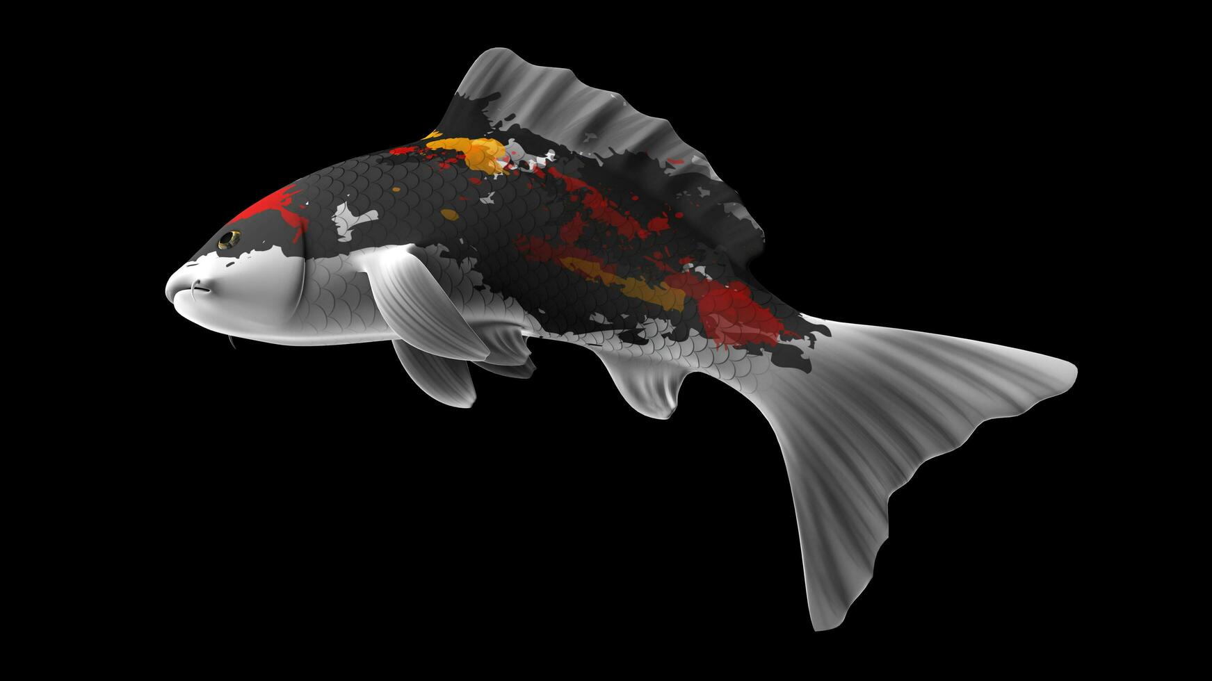 Single Black, Red and White Color Koi Fish 3D Rendering Japanese Carp photo