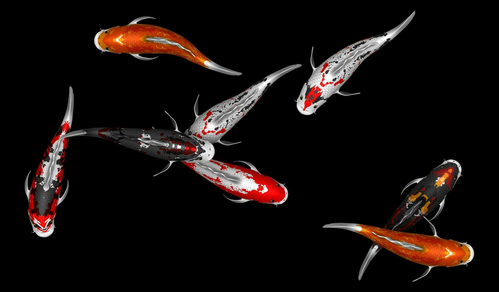 Illustration of 8 colorful koi fish 3d rendering photo