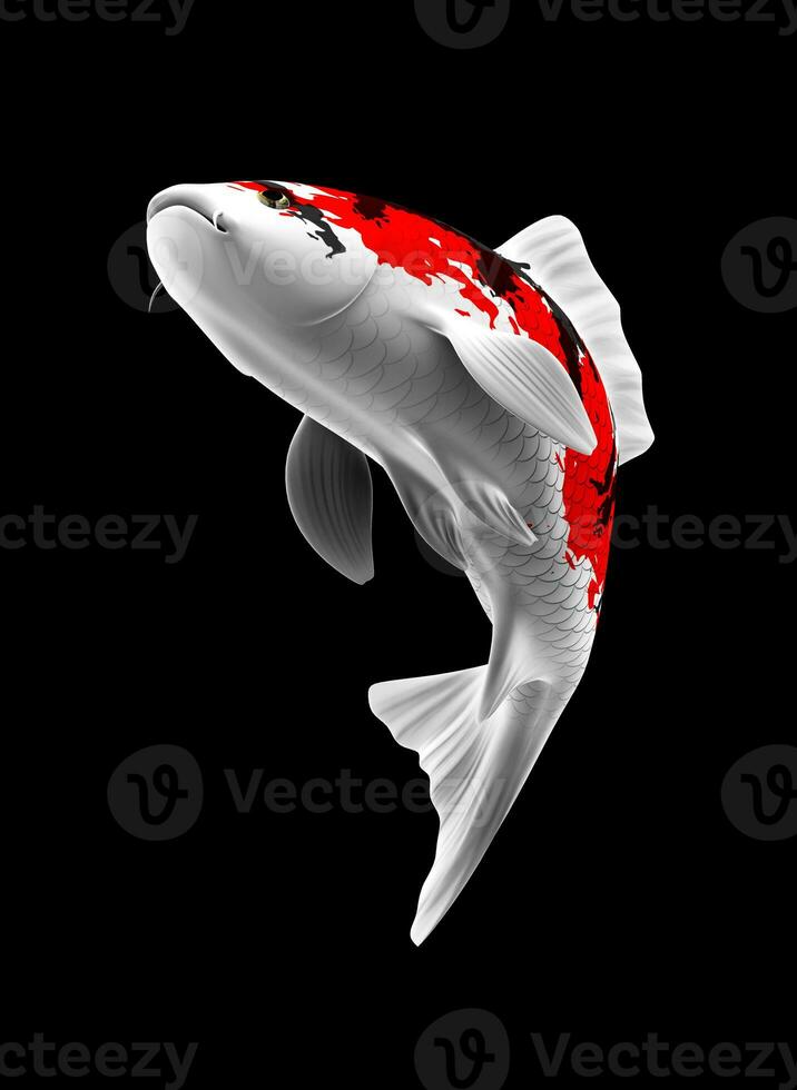 Single Black, Red and White Color Koi Fish 3D Rendering Japanese Carp photo