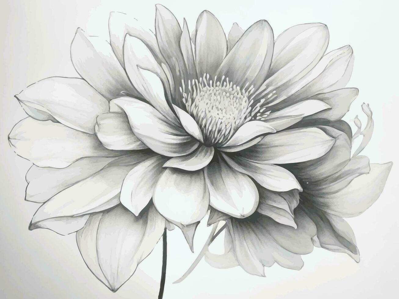 Vector line art drawing of black and white floral illustration.