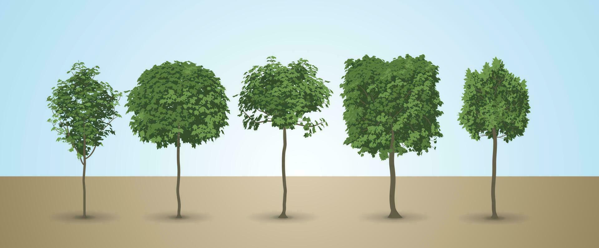Attractive tree collection with blue sky background. vector