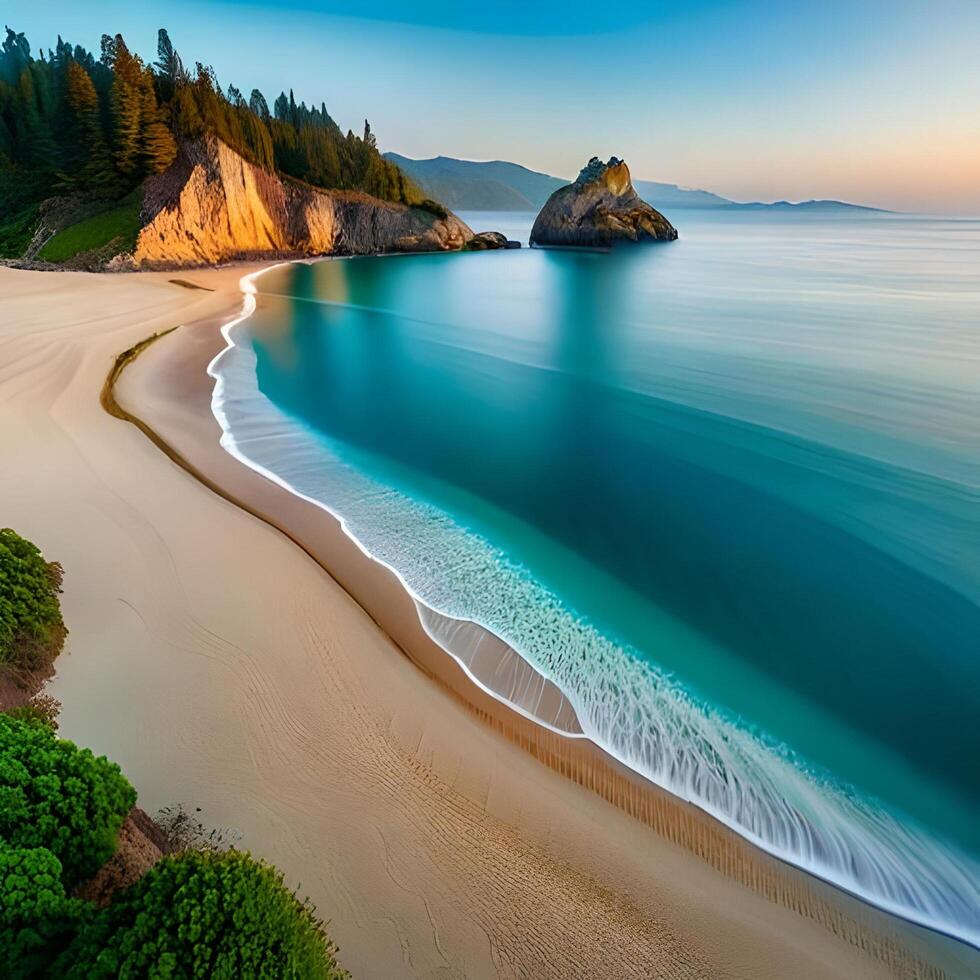 Beach day with palm trees photo