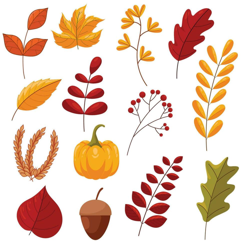 set of element Autumn collection vector