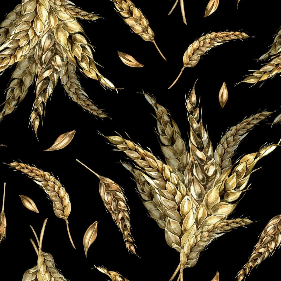 Wheat ear bunch watercolor seamless pattern isolated on black background. Spikelet of rye, barley, grains hand drawn. Design element for textile, paper, packaging, label grocery, bakery, wrapping vector
