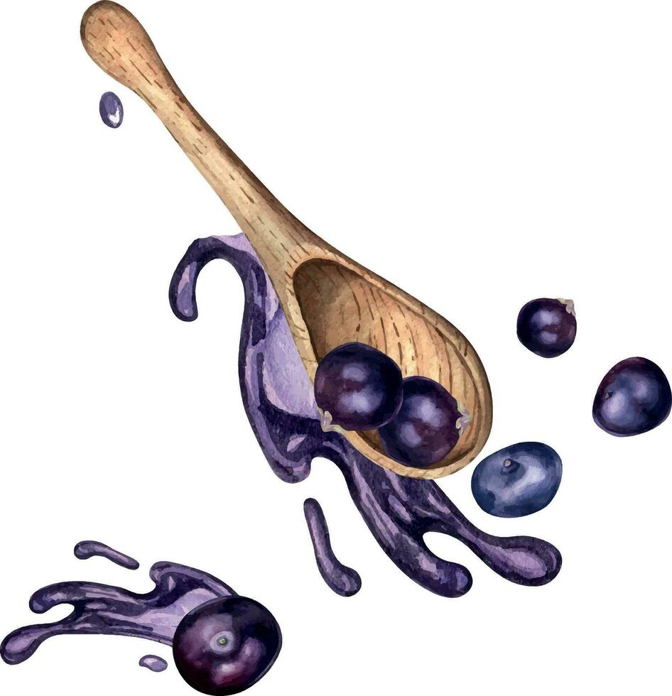 Acai berries in wooden spoon and juice splash watercolor illustration isolated on white. Exotic amazon small purple berries levitation hand drawn. Design element for packaging, cookbook, recipe vector