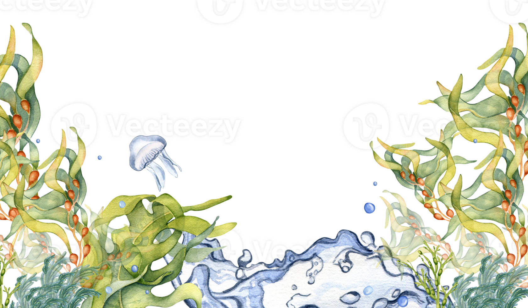 Board of green sea plant watercolor illustration. Laminaria, brown kelp, helpful seaweed hand drawn. Design element for package, label, advertising, banner, signboard. png
