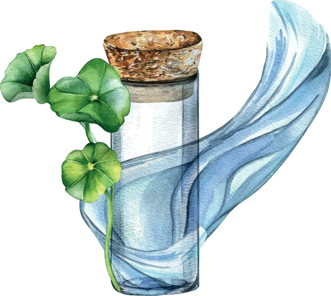 Centella asiatica, glass bottle composition watercolor illustration isolated on white. Pennywort, gotu kola water wave, cola, driftwood hand drawn. Design element for package, label, wrapping vector