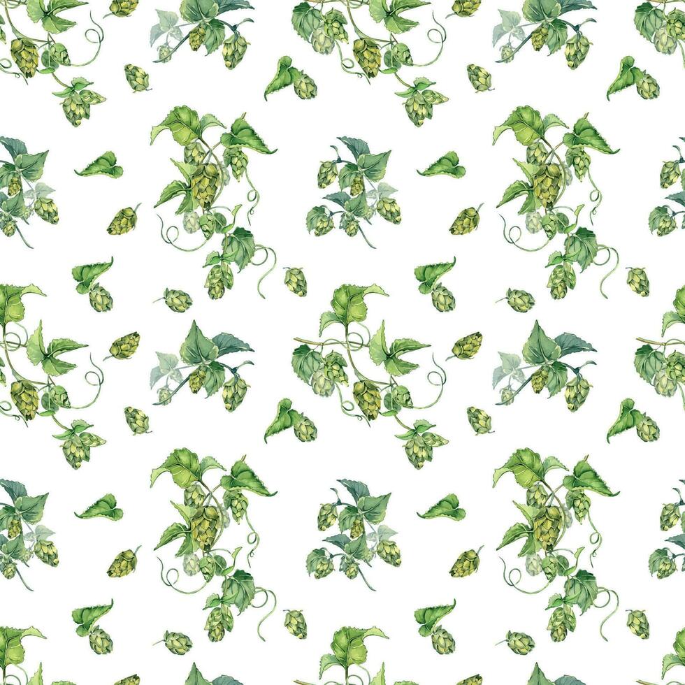 Hop vine, plant humulus watercolor seamless pattern isolated on white background. Hop on brunch with leaves, hop cones hand drawn. Design element for wrapping, label, packaging, paper, textile vector