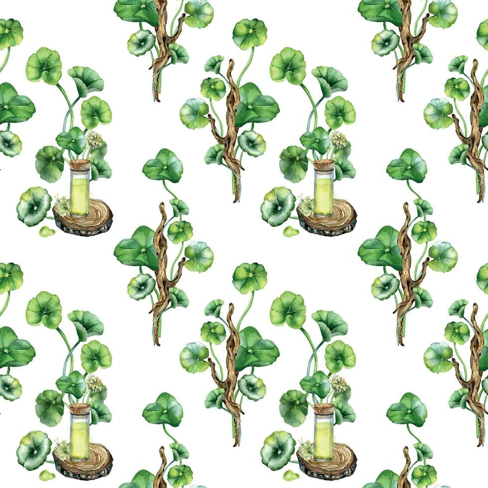 Centella asiatica, essential oils on wooden stand watercolor seamless pattern isolated on white. Pennywort, herbal plants on wooden branch hand drawn. Design element for package, background, wrapping vector
