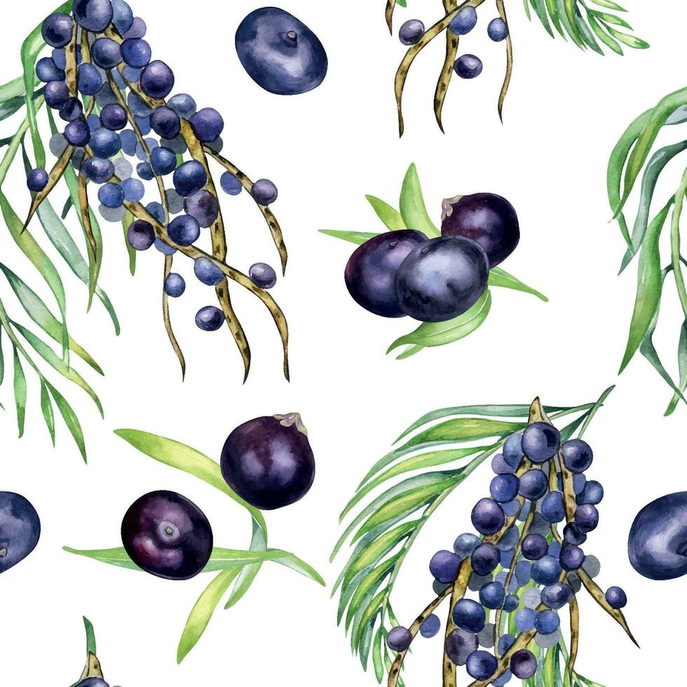 Bunch acai berries and palm leaves watercolor seamless pattern isolated on white. Exotic amazon purple berries, tropical fruit hand drawn. Design element for wrapping, textile, background, paper vector