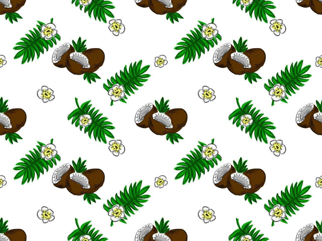 Seamless patterns. Hand drawn fruit coconut vector