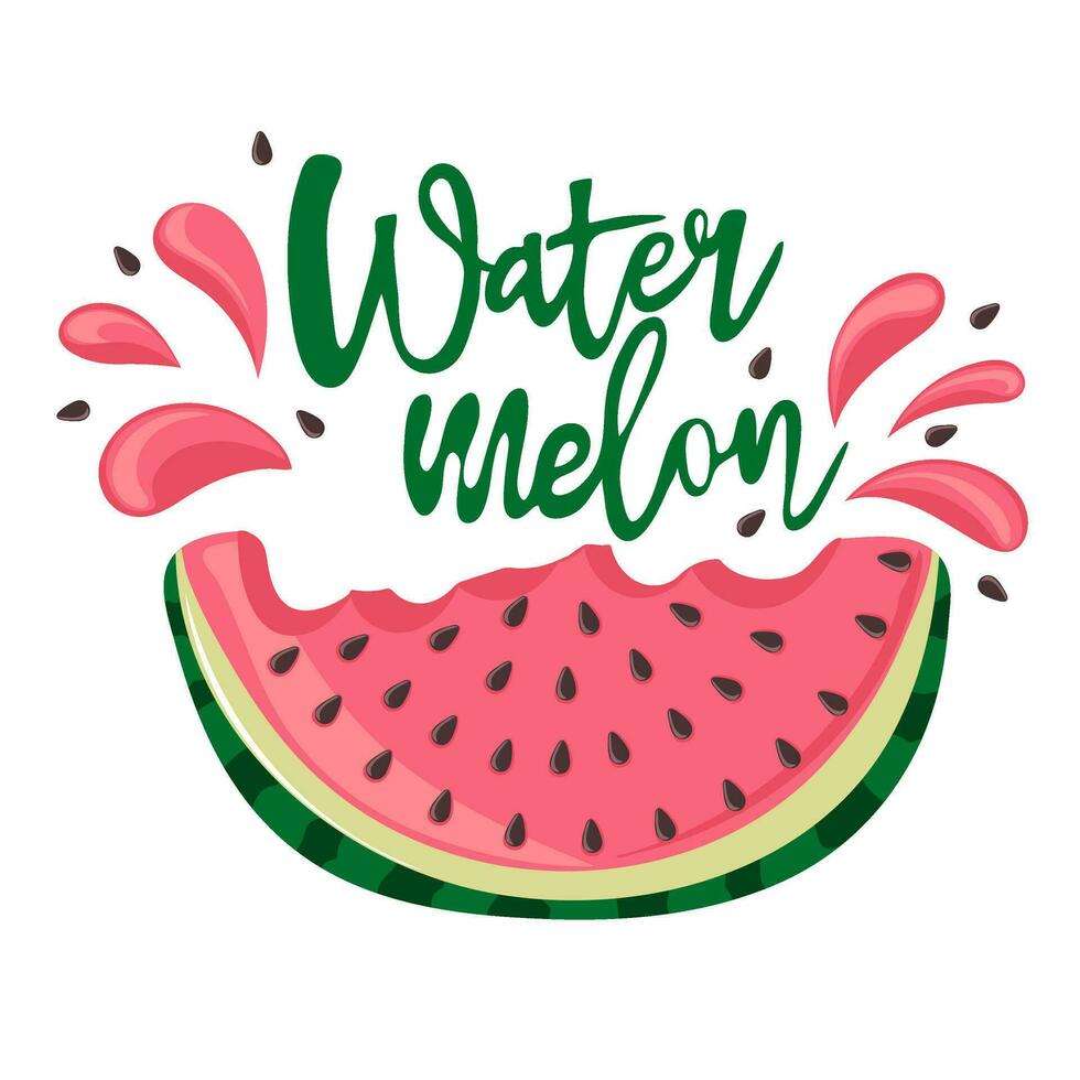 Watermelon with a spray of juice. Slice with red flesh and black seeds and with a piece bitten off vector