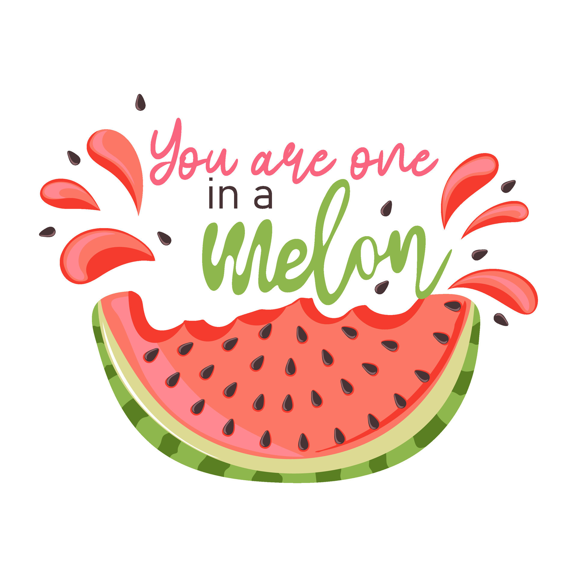 You are one in a melon. Watermelon with a spray of juice. Slice with