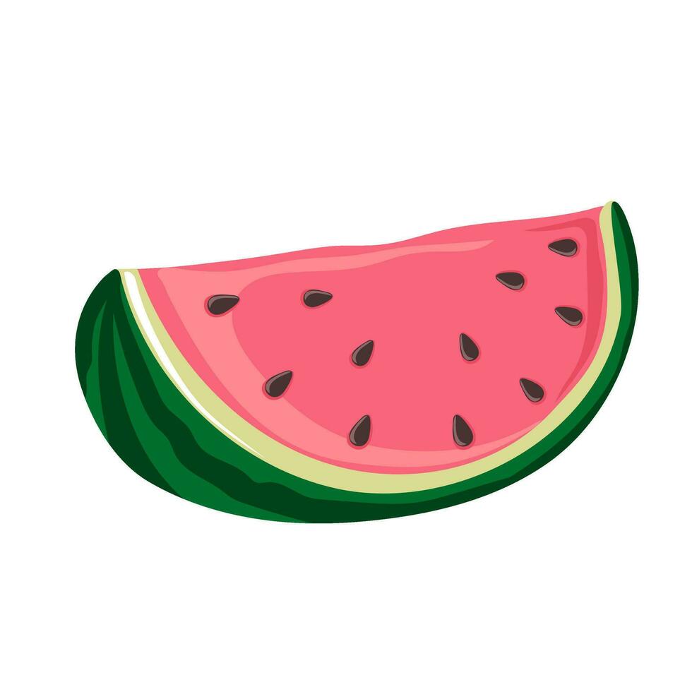 Slice of watermelon. Green striped berry with red pulp and brown seeds vector