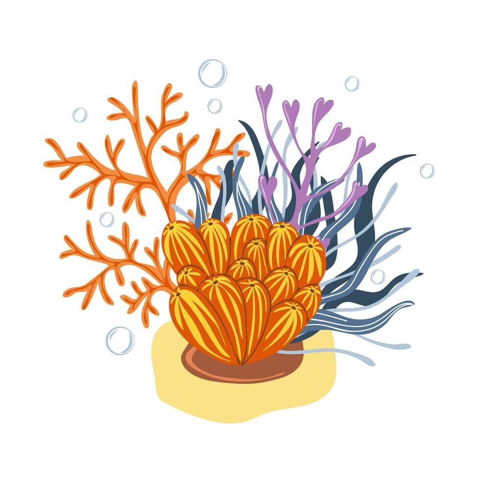 Corals and seaweed. Botanical Illustration vector