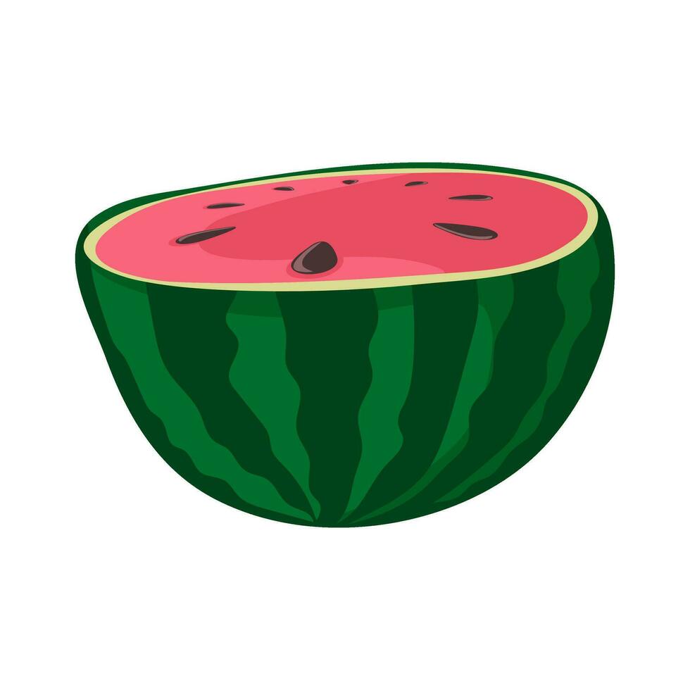 Half of watermelon. Green striped berry with red pulp and brown seeds vector