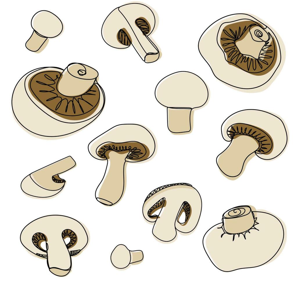 Champignons set half, slice and whole vector