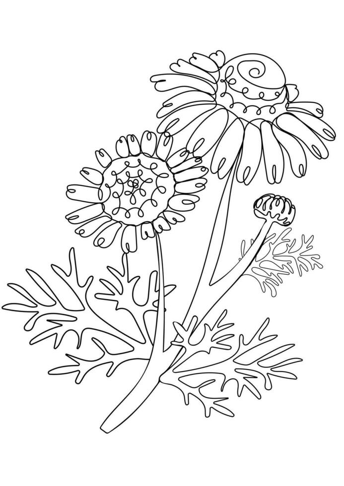 Bouquet of chamomile flowers one line art vector