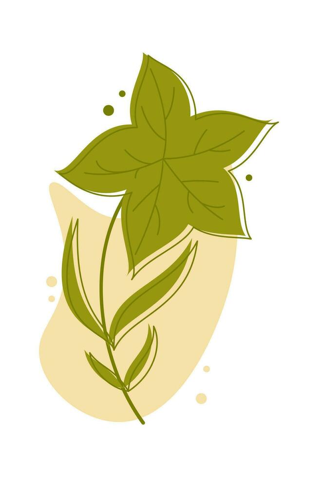 Aesthetic Floral Illustration. Simple flower outline design. Floral line art. Hand drawn flower outline. Botanical flower outline. Plant, flower silhouette. Wedding sketch. Vector illustration.