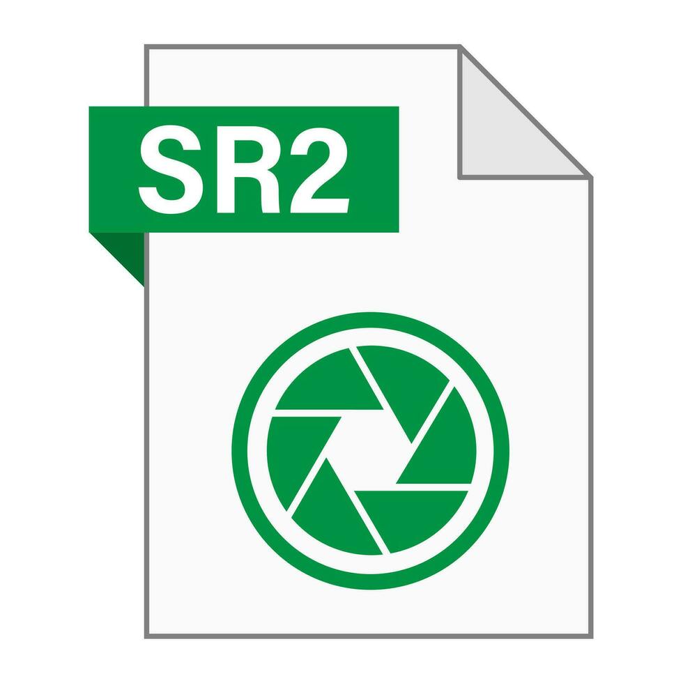 Modern flat design of SR2 file icon for web vector