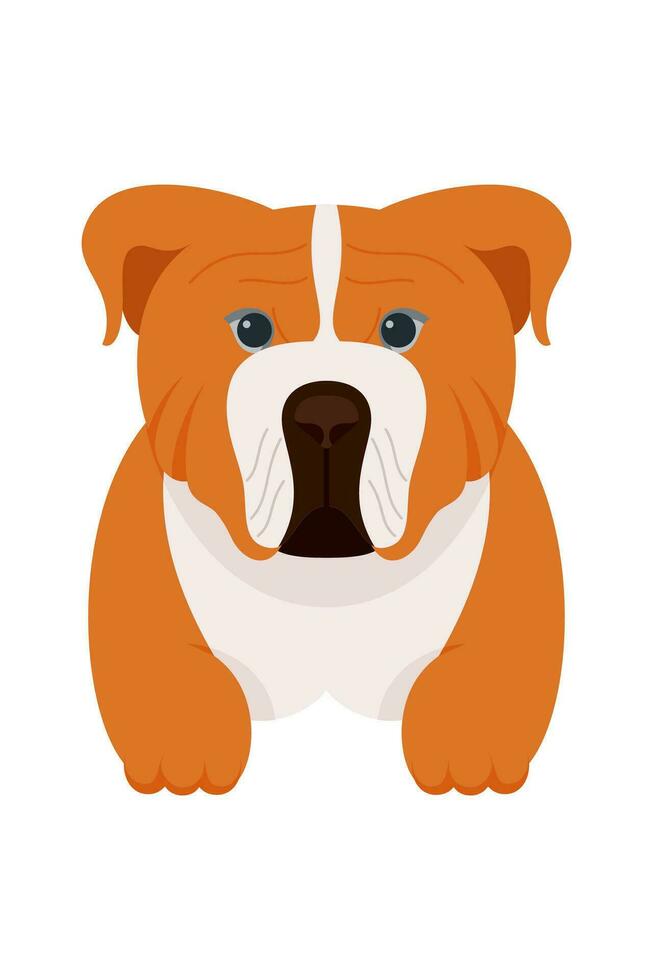 dibujos animados perrito perros razas mascotas linda caracteres. plano diseño de linda perros y cachorros vector ilustración.