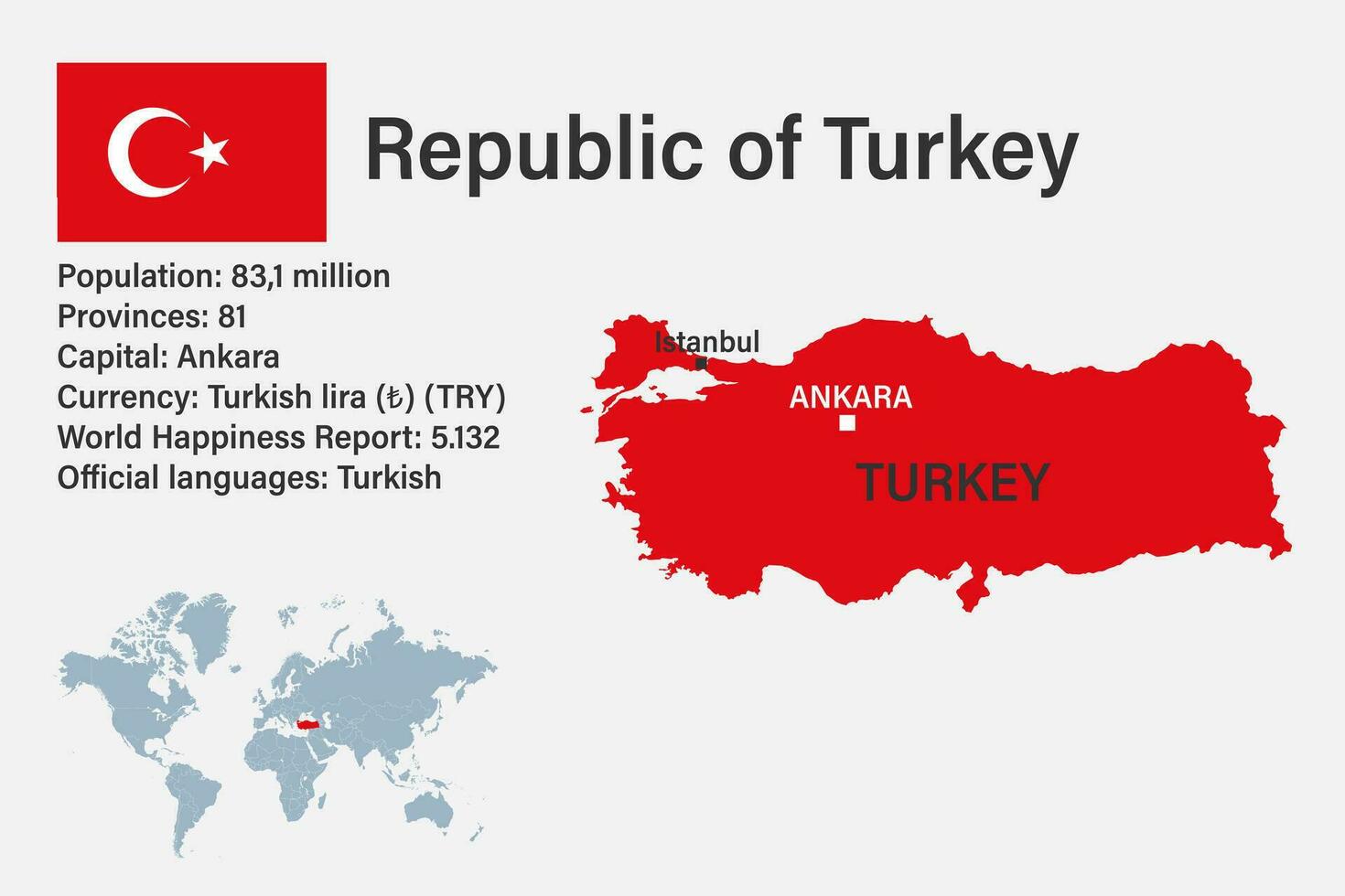 Highly detailed Turkey map with flag, capital and small map of the world vector