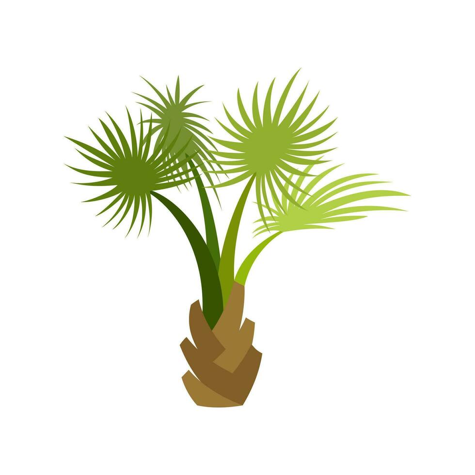 Palm trees are isolated on white background. Beautiful palm tree illustration. Coconut tree illustrations vector