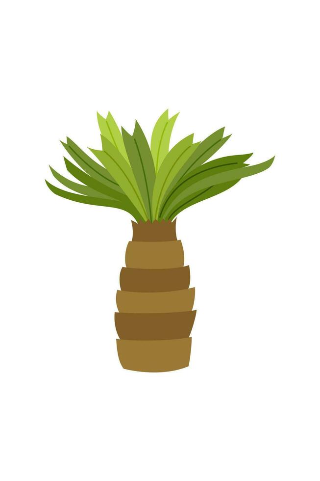 Palm trees are isolated on white background. Beautiful palm tree illustration. Coconut tree illustrations vector