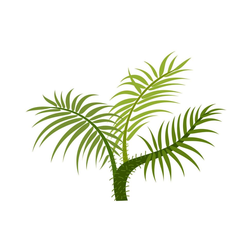 Palm trees are isolated on white background. Beautiful palm tree illustration. Coconut tree illustrations vector