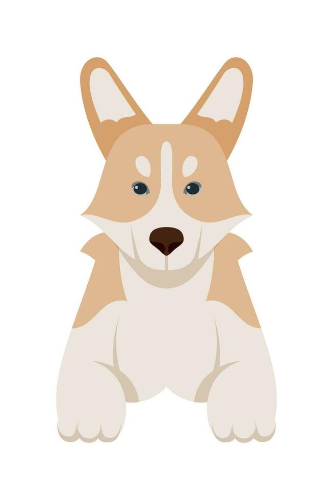 dibujos animados perrito perros razas mascotas linda caracteres. plano diseño de linda perros y cachorros vector ilustración.