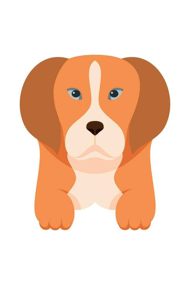 dibujos animados perrito perros razas mascotas linda caracteres. plano diseño de linda perros y cachorros vector ilustración.