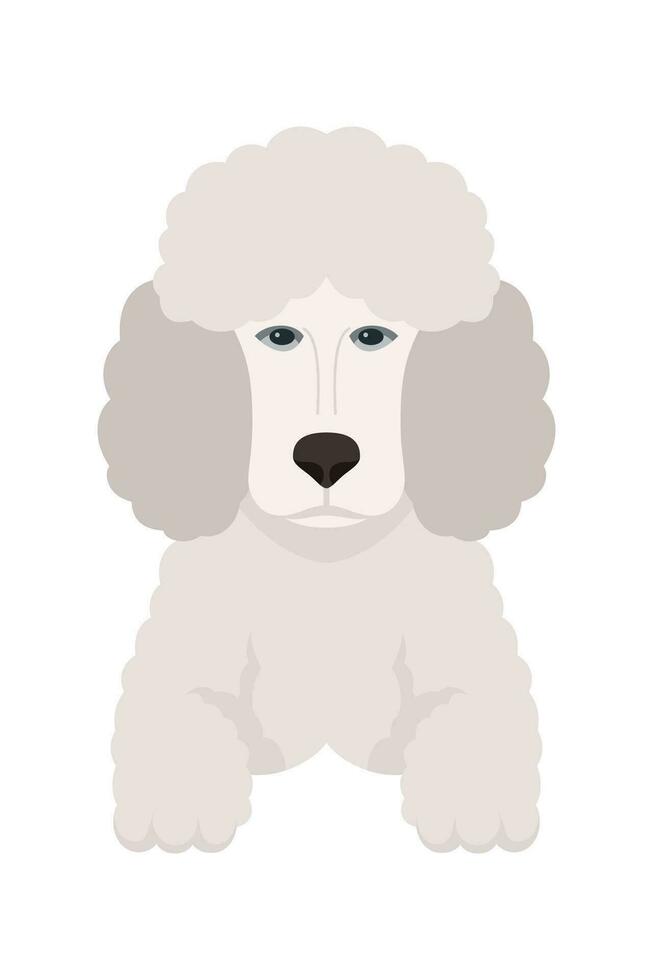 Cartoon puppy dogs breeds pets cute characters. Flat design of cute dogs and puppies vector illustration.