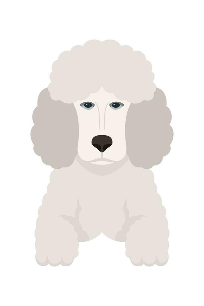 dibujos animados perrito perros razas mascotas linda caracteres. plano diseño de linda perros y cachorros vector ilustración.