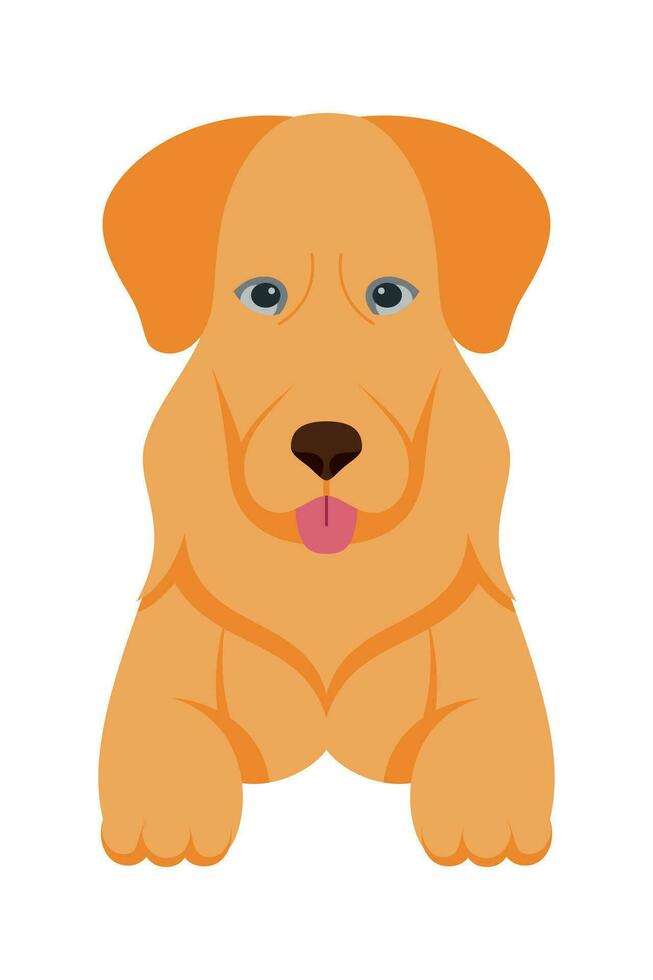 Cartoon puppy dogs breeds pets cute characters. Flat design of cute dogs and puppies vector illustration.