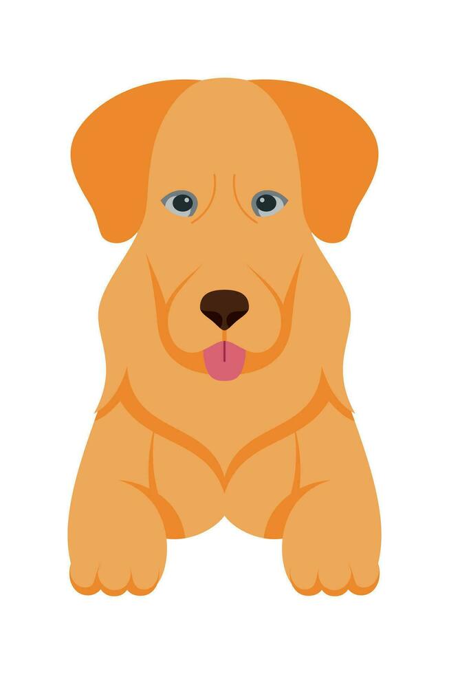 dibujos animados perrito perros razas mascotas linda caracteres. plano diseño de linda perros y cachorros vector ilustración.