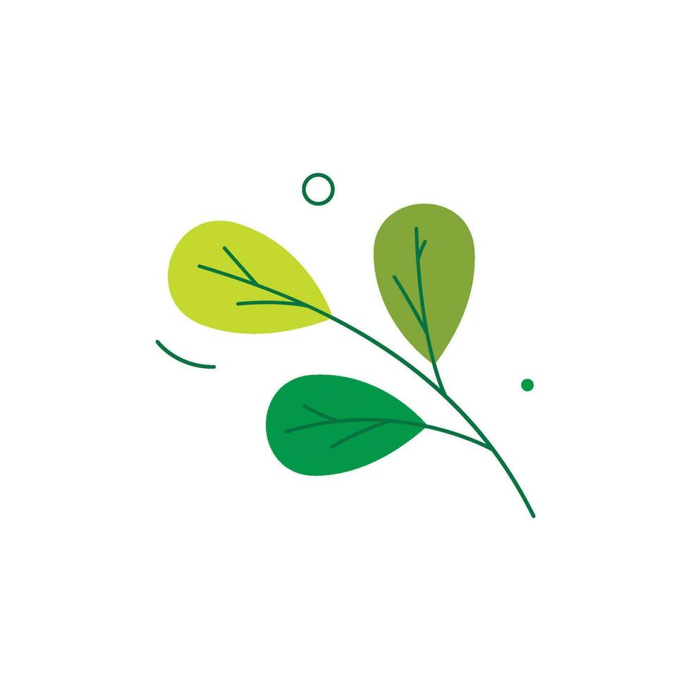 Nature Element Illustration Ornament vector