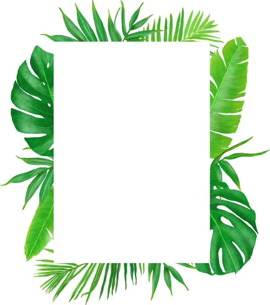 Tropical frame hand-painted leaves vector