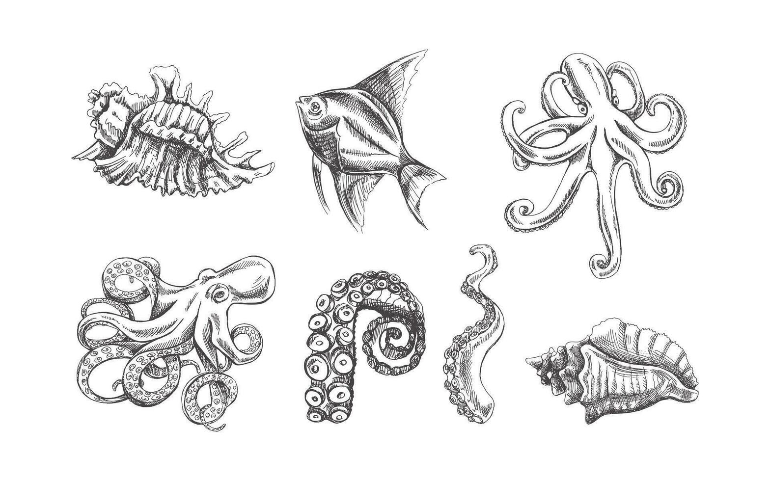 Seashells,  octopus, tropical fish, octopus tentacle vector set. Hand drawn sketch illustration. Collection of realistic ocean creatures  isolated on white background.
