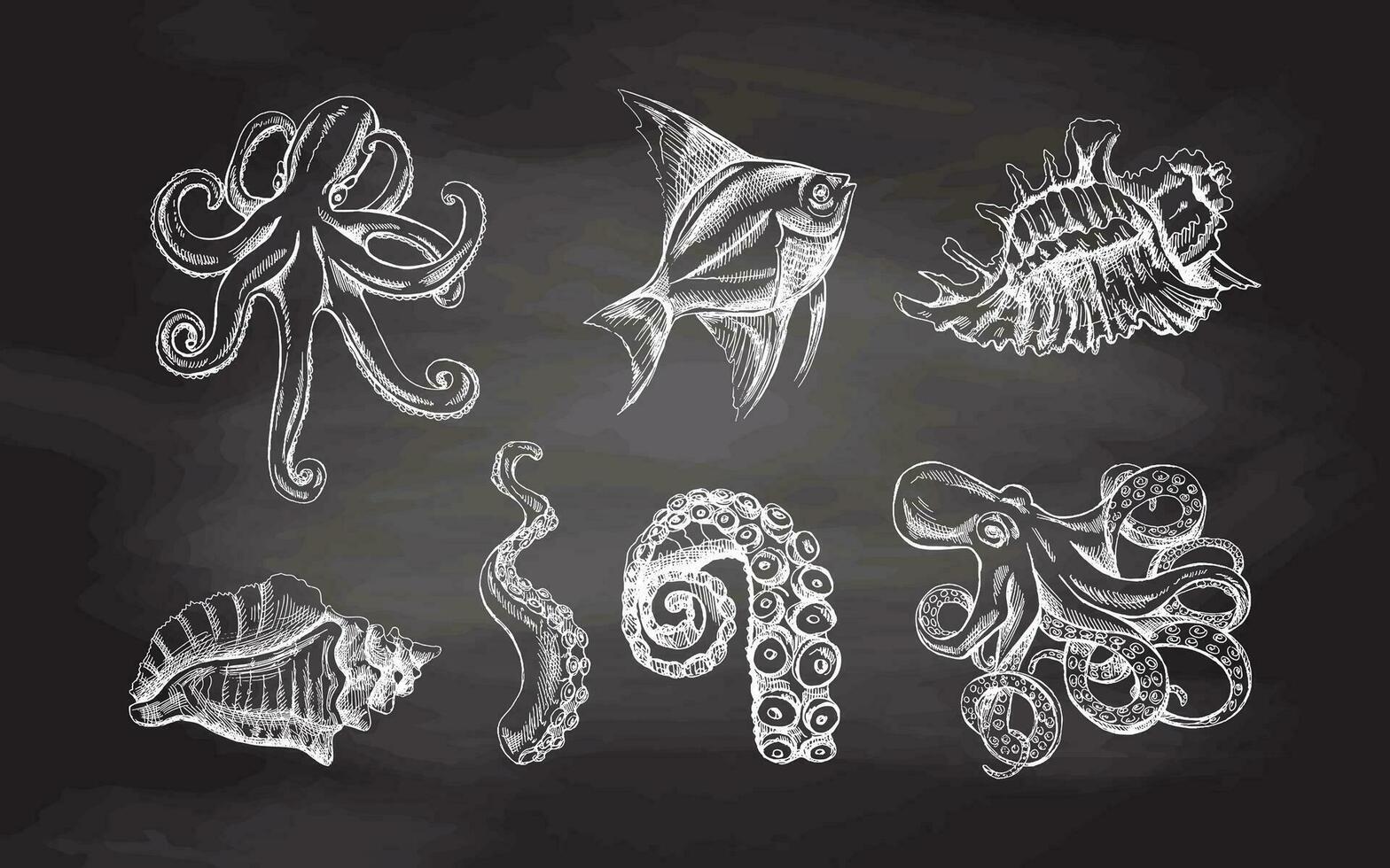 Seashells,  octopus, tropical fish, octopus tentacle vector set. Hand drawn white sketch illustration. Collection of realistic ocean creatures  isolated on chalkboard  background.