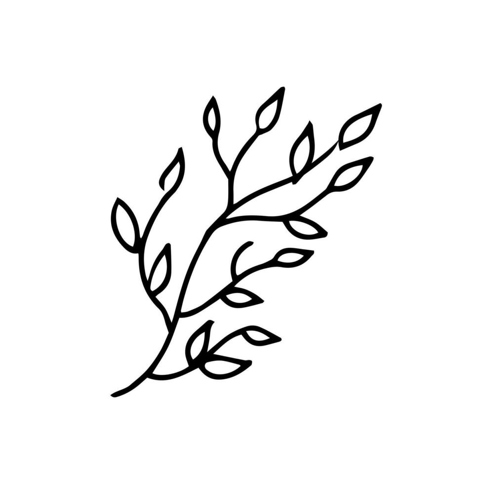 Simple sketch line style element. Doodle cute ink pen brunch with leaves on white background. Doodle leaf. Vector illustration.