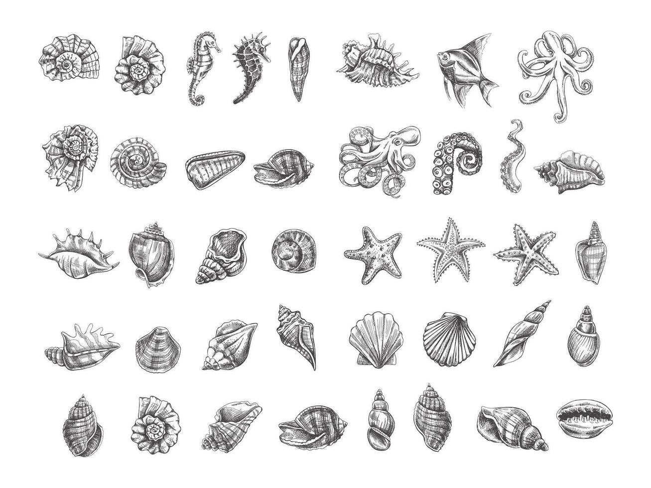 Seashells, octopus, fish, starfish, seahorses, ammonite vector set. Hand drawn sketch illustration. Collection of realistic sketches of various  ocean creatures isolated on white background.