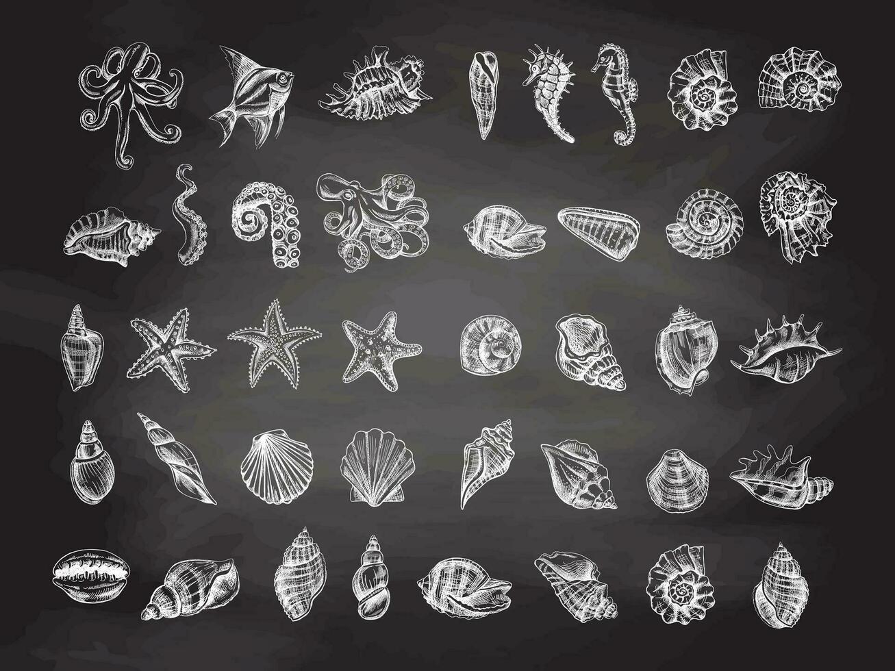 Seashells, octopus, fish, starfish, seahorses, ammonite vector set. Hand drawn white sketch illustration. Collection of realistic sketches of various  ocean creatures isolated .